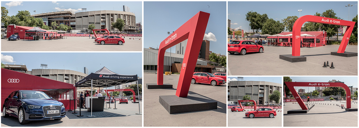 woodpeckers afsol 01