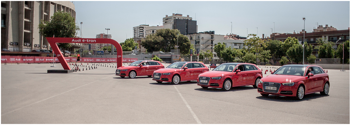 woodpeckers afsol 03