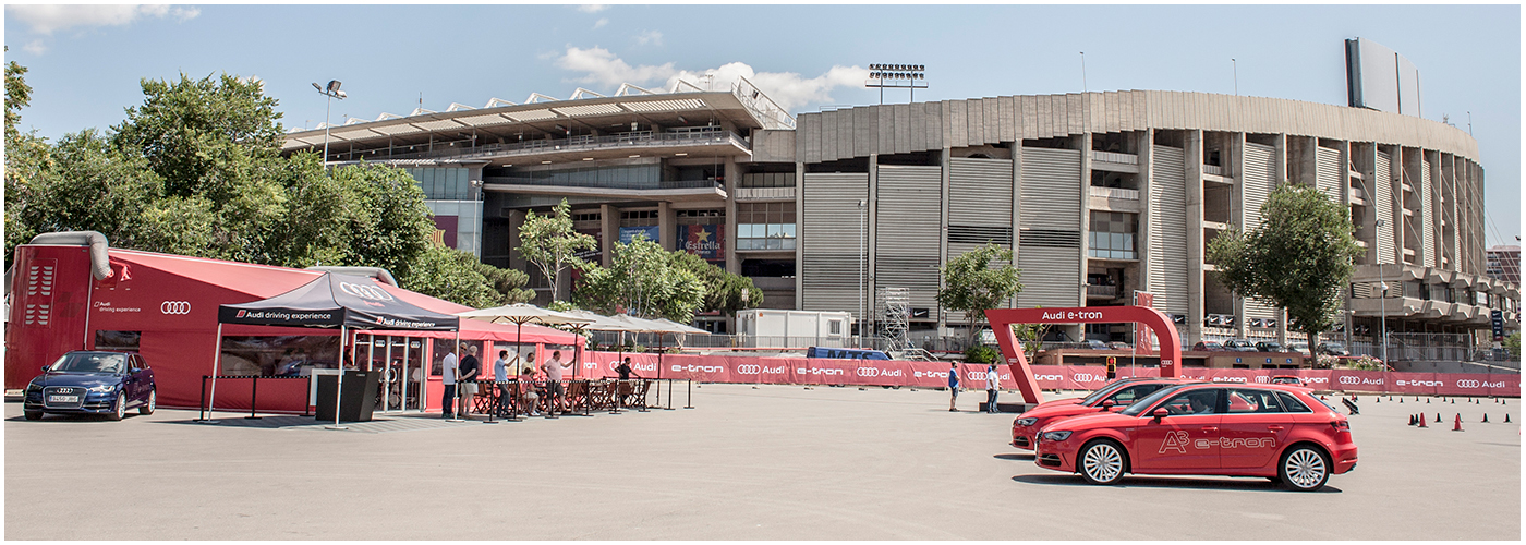 woodpeckers afsol 02