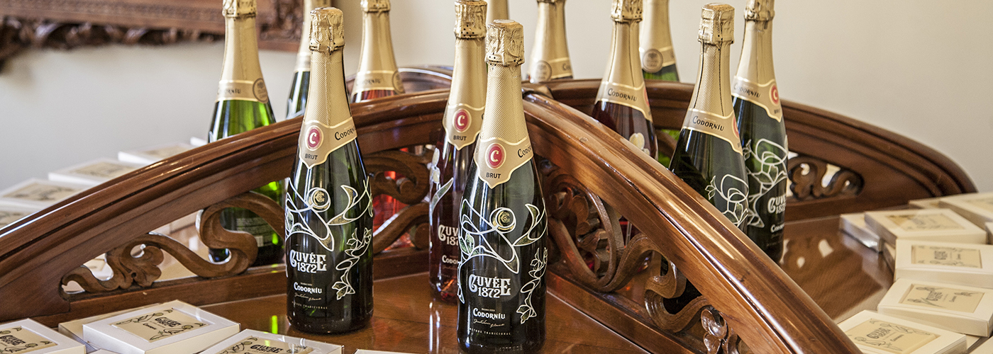 woodpeckers codorniu palauet 04