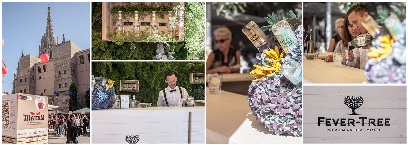 woodpeckers fever tree