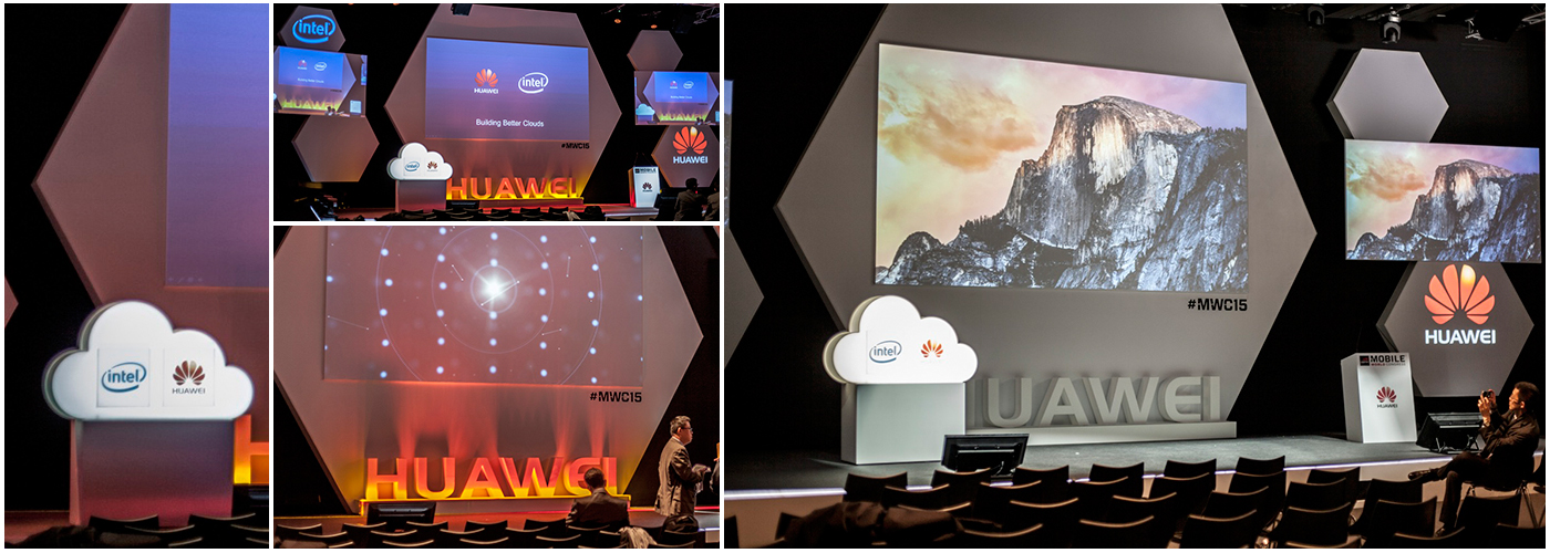 woodpeckers afsol 01