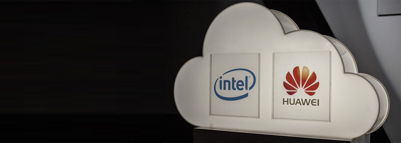 woodpeckers afsol 03