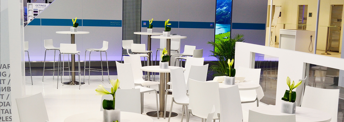 woodpeckers matachana dusseldorf 01