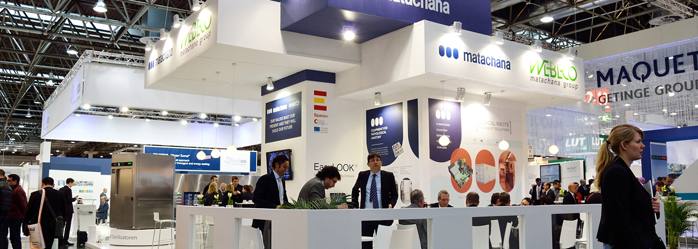 woodpeckers matachana dusseldorf 03