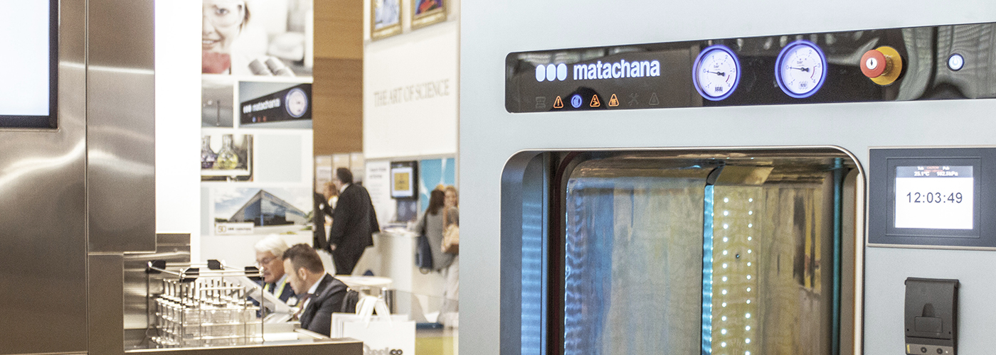 woodpeckers matachana felasa 03