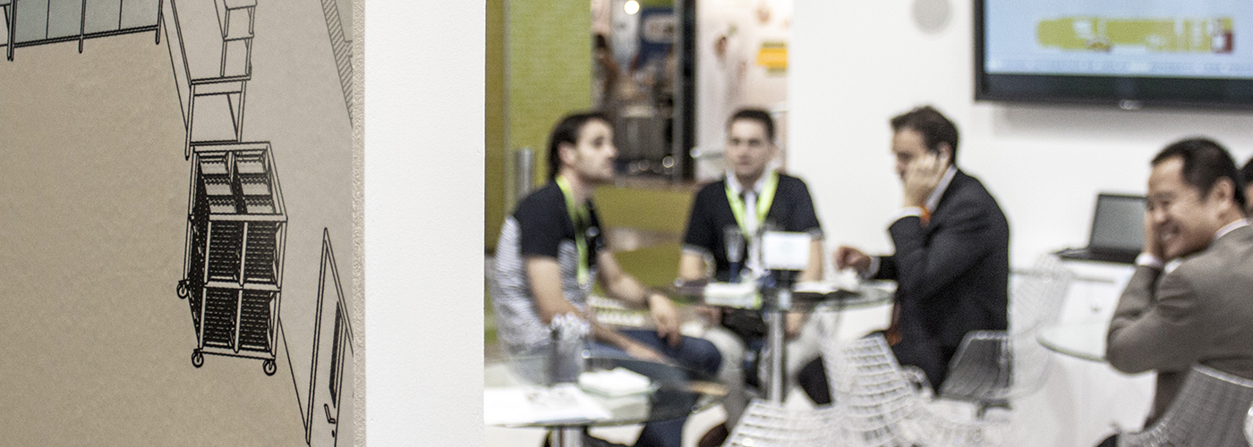 woodpeckers matachana felasa 04