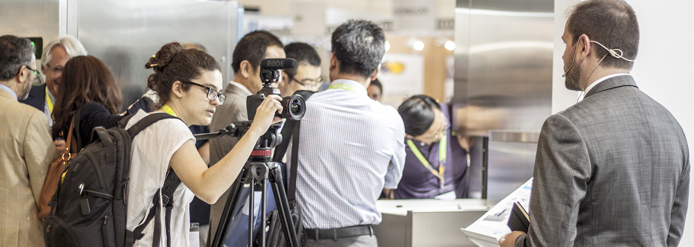 woodpeckers matachana felasa 08