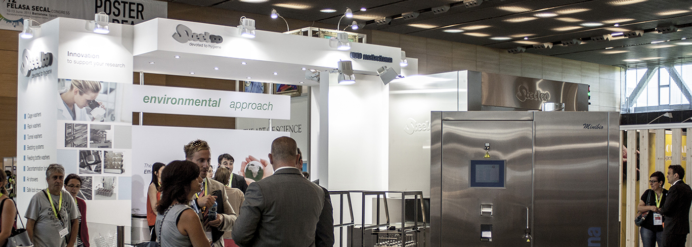 woodpeckers matachana felasa 09