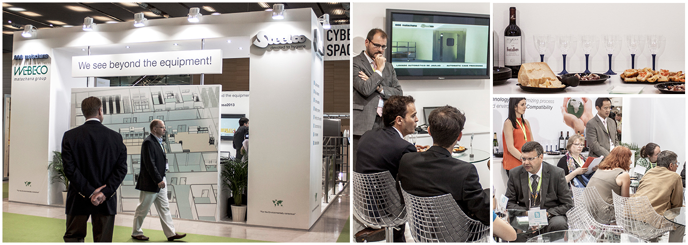 woodpeckers matachana felasa 10