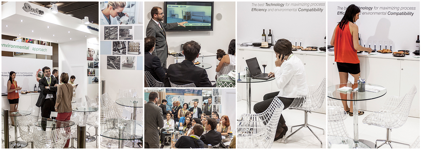 woodpeckers matachana felasa 11